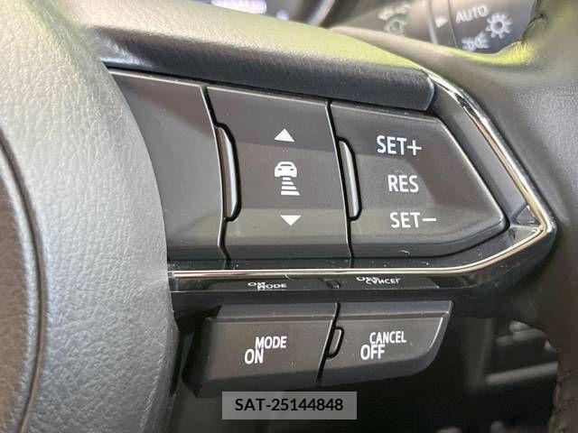 Mazda CX-8 2021-07 225395-5