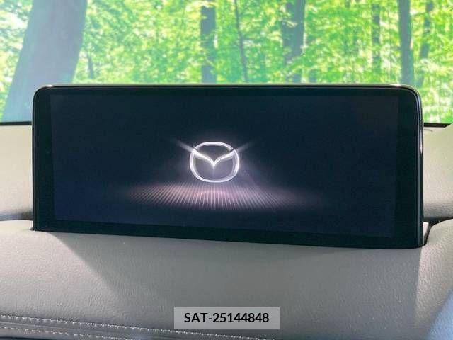 Mazda CX-8 2021-07 225395-3