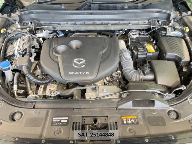 Mazda CX-8 2021-07 225395-17