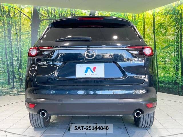 Mazda CX-8 2021-07 225395-16