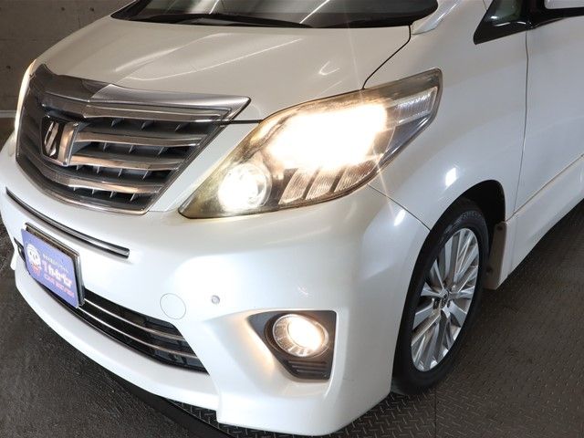 Toyota ALPHARD 2011-12 194545-19