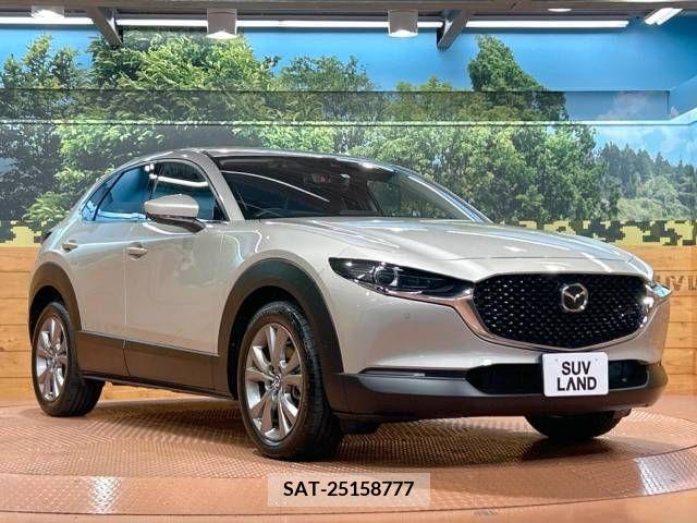 Mazda CX-30 2022-02 383644-16