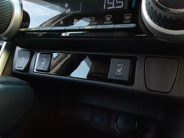 Toyota RAV4 2019-08 8742-29