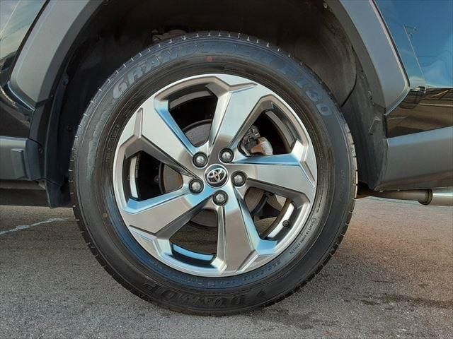 Toyota RAV4 2019-08 8742-16