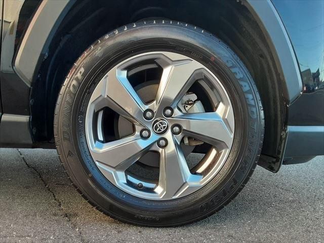 Toyota RAV4 2019-08 8742-14