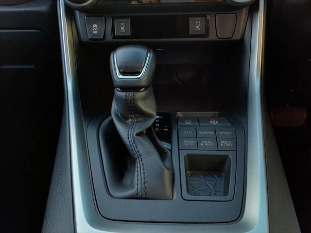 Toyota RAV4 2019-08 8742-25