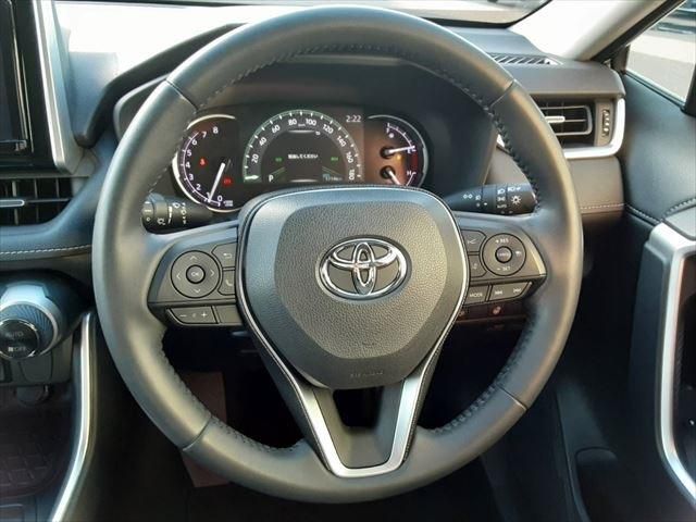 Toyota RAV4 2019-08 8742-24