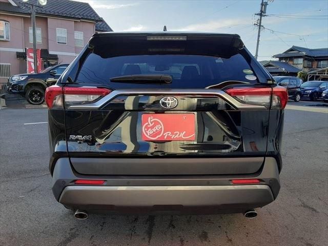 Toyota RAV4 2019-08 8742-5