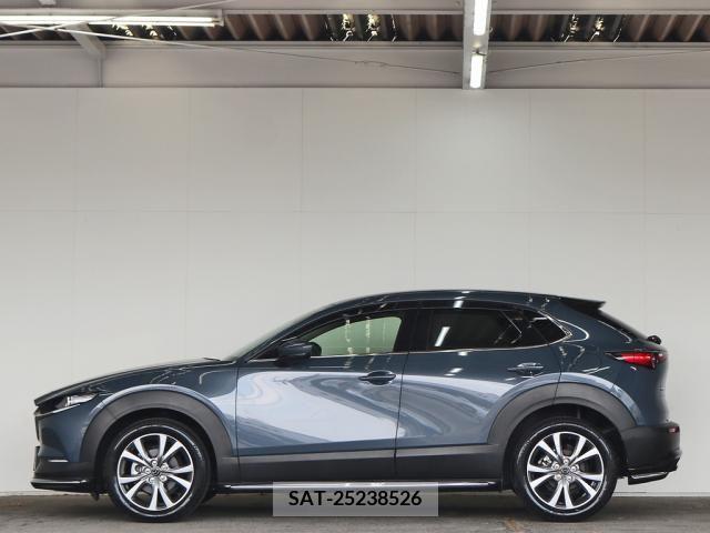 Mazda CX-30 2020-02 358523-5