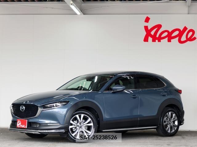 Mazda CX-30 2020-02 358523-0