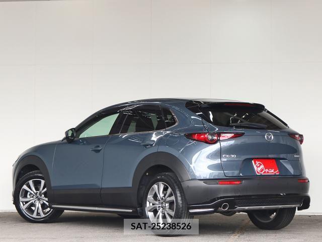 Mazda CX-30 2020-02 358523-7