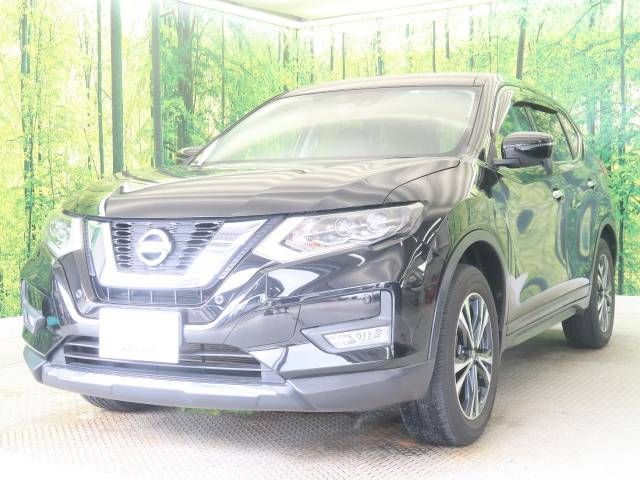 Nissan X-TRAIL 2018-03 194393-16