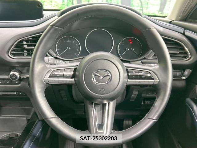 Mazda CX-30 2022-10 295579-11
