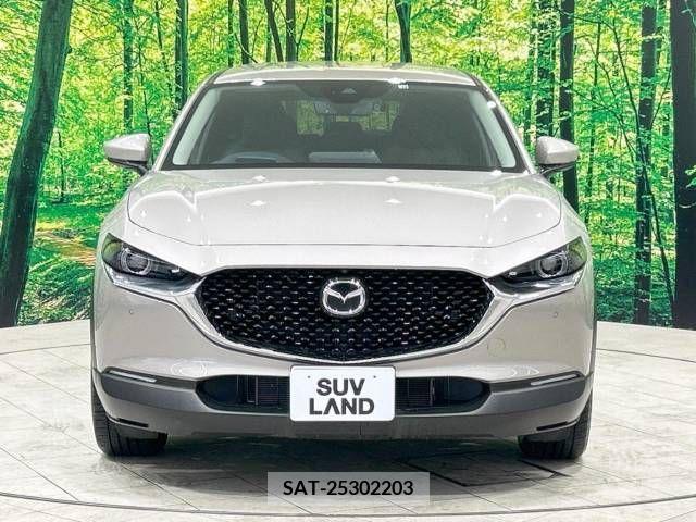 Mazda CX-30 2022-10 295579-14
