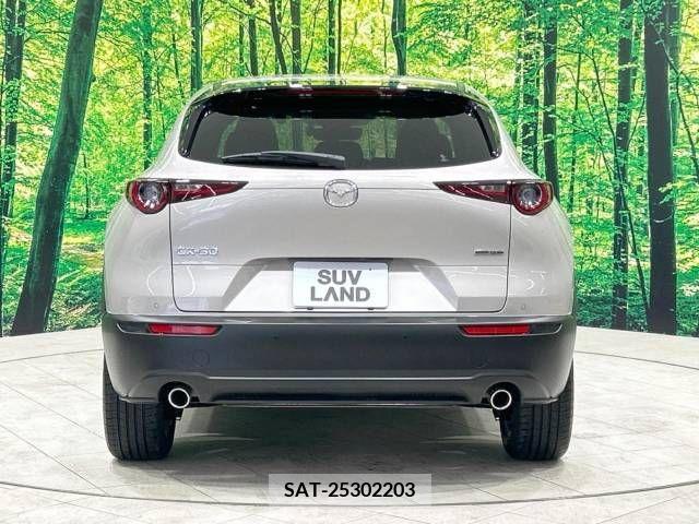 Mazda CX-30 2022-10 295579-15