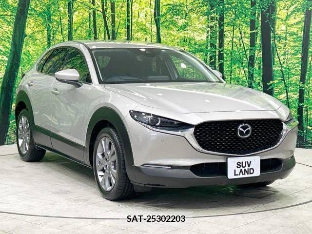 Mazda CX-30 2022-10 295579-16