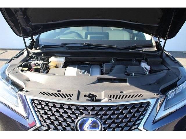 Lexus RX 2020-07 8036-18