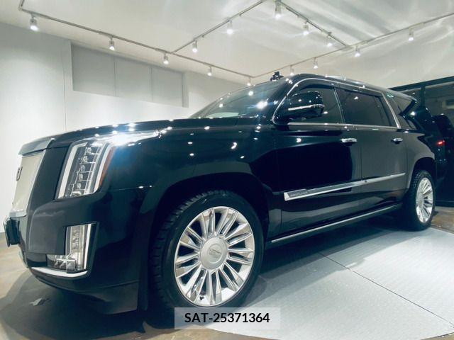 Cadillac ESCALADE 2016-01 294368-4