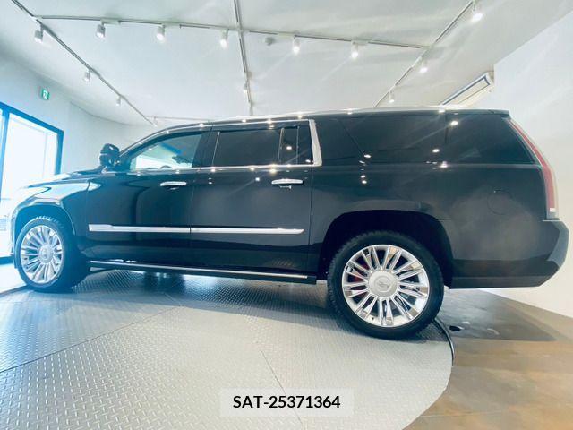Cadillac ESCALADE 2016-01 294368-5