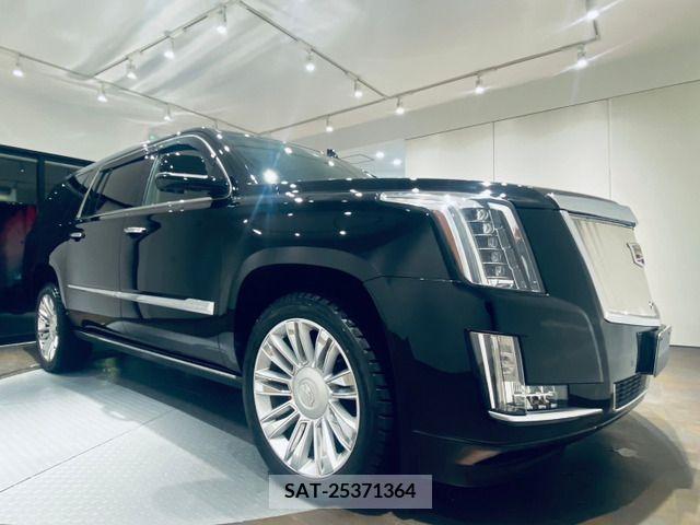 Cadillac ESCALADE 2016-01 294368-10