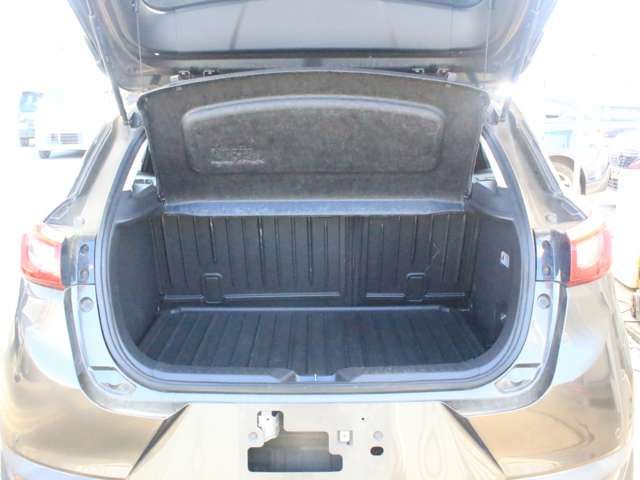 Mazda CX-3 2015-05 14990-11
