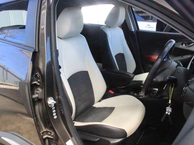 Mazda CX-3 2015-05 14990-4