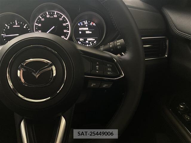Mazda CX-8 2018-04 378631-18