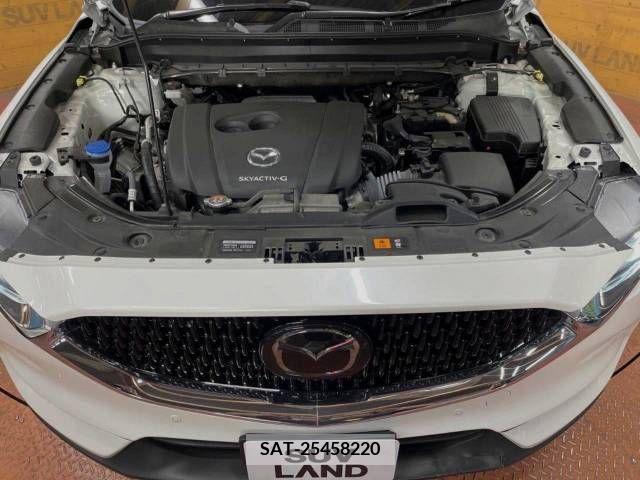 Mazda CX-8 2021-05 308599-18