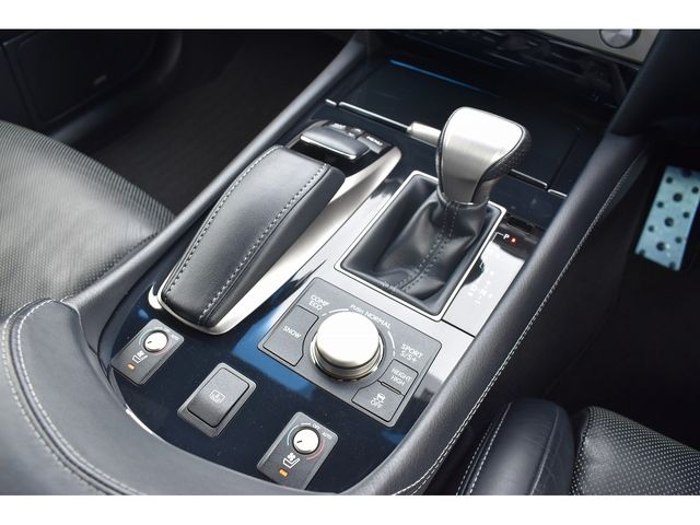 Lexus LS 2014-01 24025-11