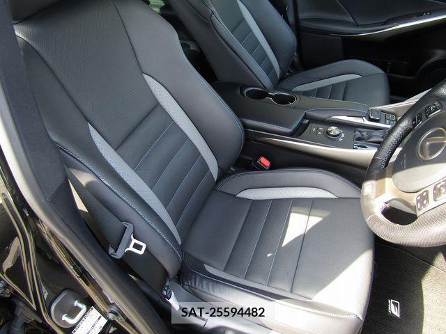 Lexus IS 2020-03 219693-9