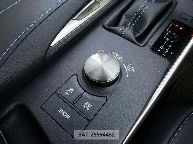 Lexus IS 2020-03 219693-19