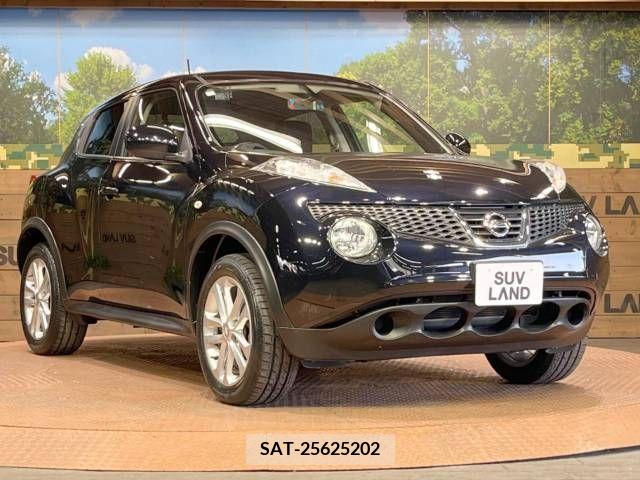Nissan JUKE 2010-06 273981-16