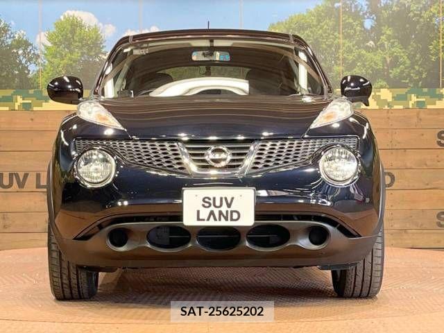 Nissan JUKE 2010-06 273981-14