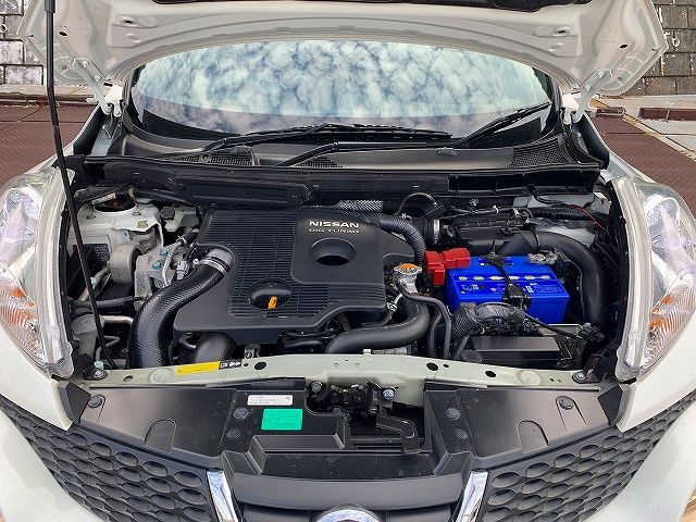 Nissan JUKE 2013-03 12816-24