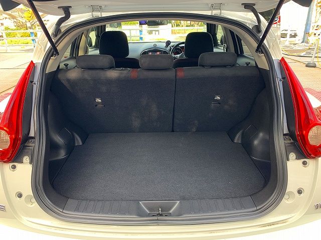 Nissan JUKE 2013-03 12816-20