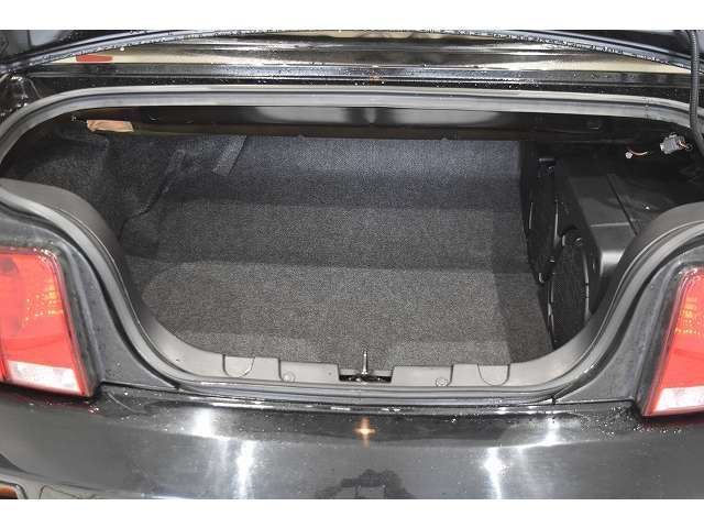 Ford MUSTANG 2008-03 8666-19