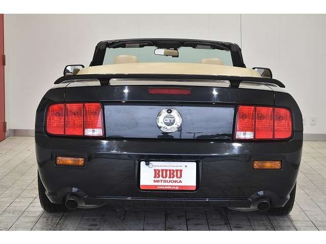 Ford MUSTANG 2008-03 8666-2