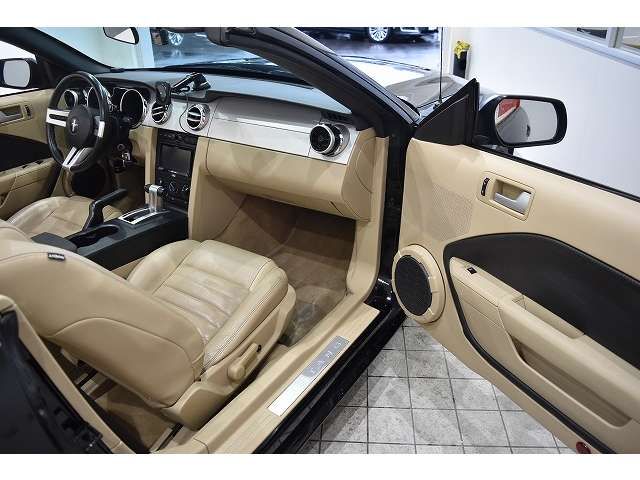 Ford MUSTANG 2008-03 8666-16