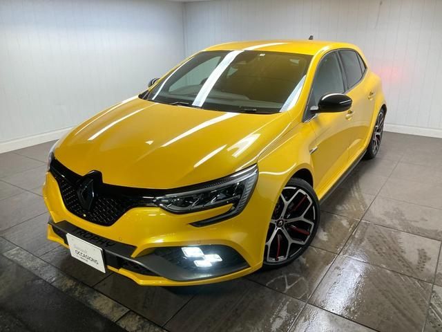 Renault MEGANE 2022-07 13729-0
