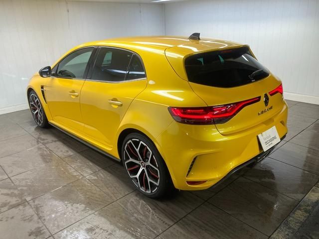 Renault MEGANE 2022-07 13729-2