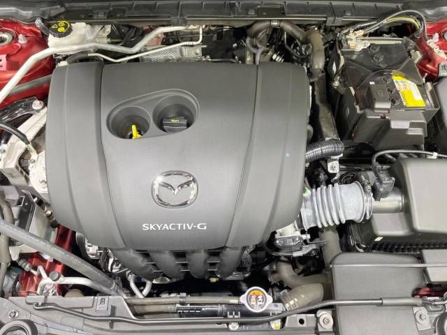 Mazda CX-30 2021-09 195483-18