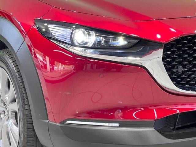 Mazda CX-30 2021-09 195483-12