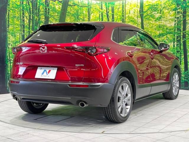Mazda CX-30 2021-09 195483-17