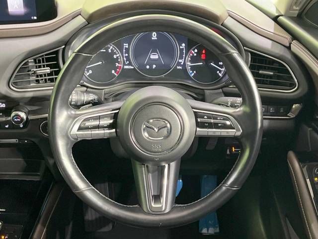 Mazda CX-30 2021-09 195483-11