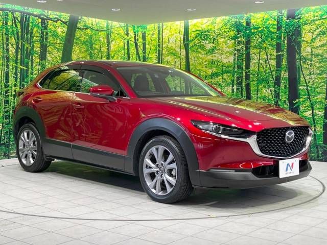 Mazda CX-30 2021-09 195483-16