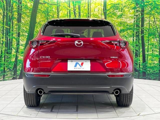 Mazda CX-30 2021-09 195483-15