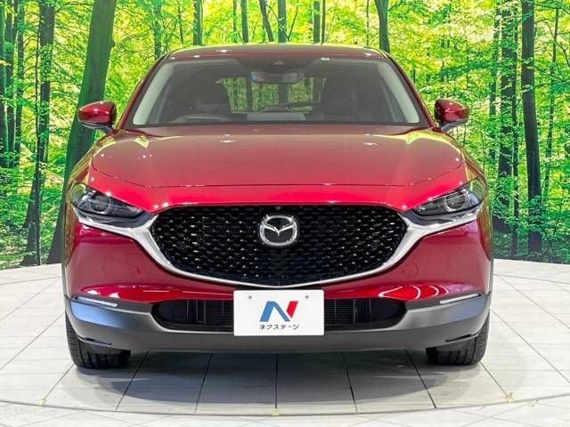 Mazda CX-30 2021-09 195483-14