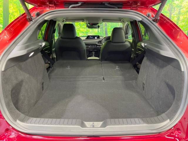 Mazda CX-30 2021-09 195483-10