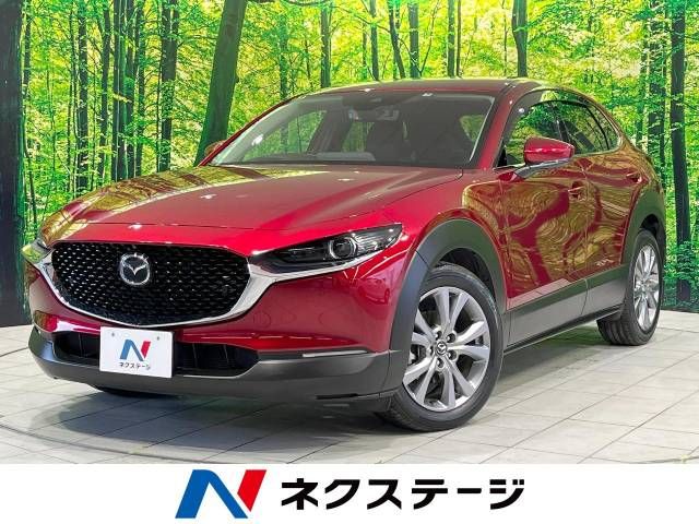 Mazda CX-30 2021-09 195483-0