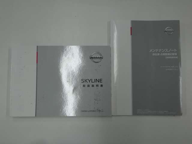 Nissan SKYLINE 2019-01 996-29